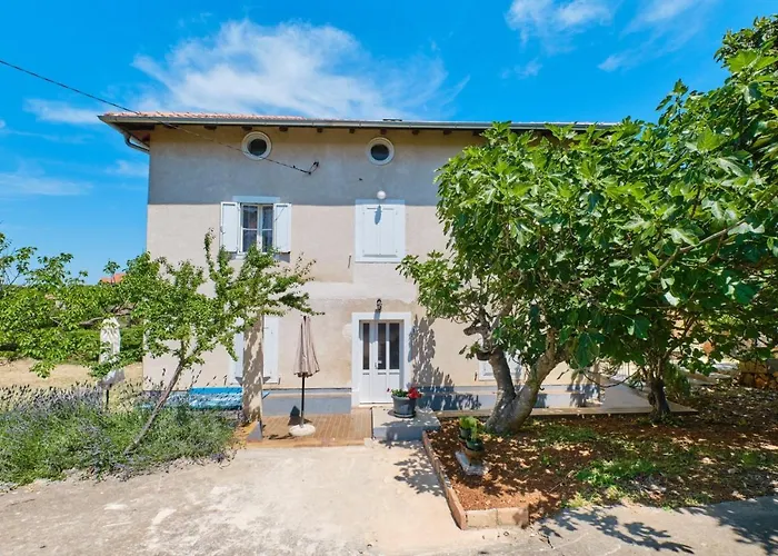 Apartament Pino *